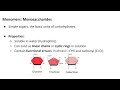 Carbohydrates & Lipids Explained | NEET Biology