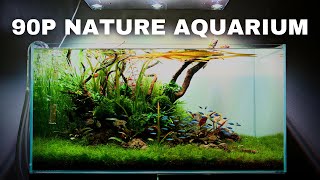 The ScaperLine 90: EPIC Step By Step 3ft Aquascape Tutorial screenshot 1