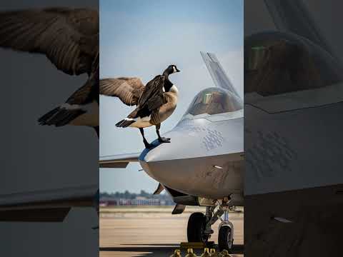 Goose Heroically Saves Pilot and Its Goslings From Exploding Fighter Jet! #shorts