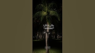 سورة الأحزاب #اكسبلور #قران #الله #قران_كريم #تلاوات #مصر #viralvideo #quran #explore #muslim