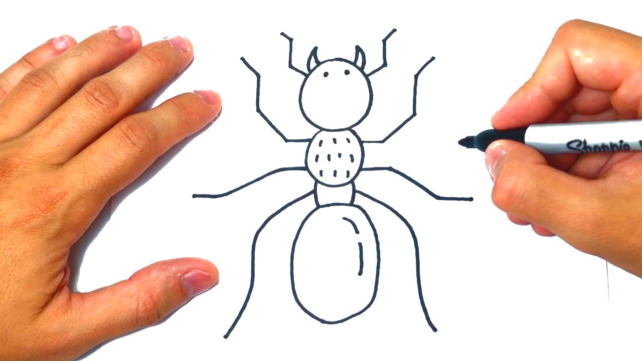 Cómo dibujar una Hormiga Paso a Paso - thptnganamst.edu.vn