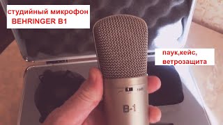 Behringer B1 в кейсе