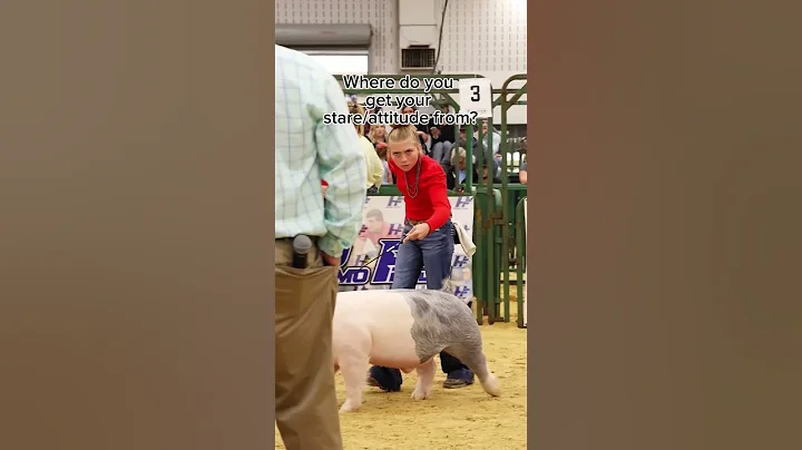 I swear I'm nice but us #stockshow Mom's want everything perfect 🤣 #showpigs #livestockshow