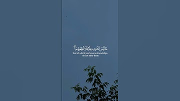 و وصينا الإنسان بوالديه حملته أمه وهنا على وهن و فصاله في عامين || سورة لقمان || القارئ: فارس عباد