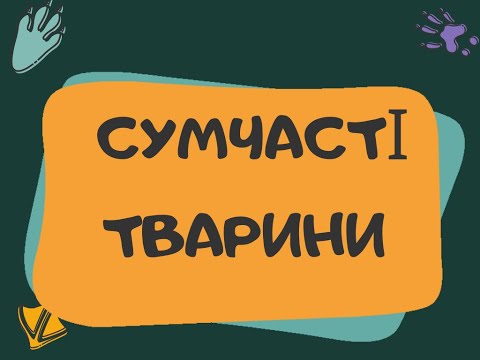 Сумчасті тварини (ІНФАСОТКА)