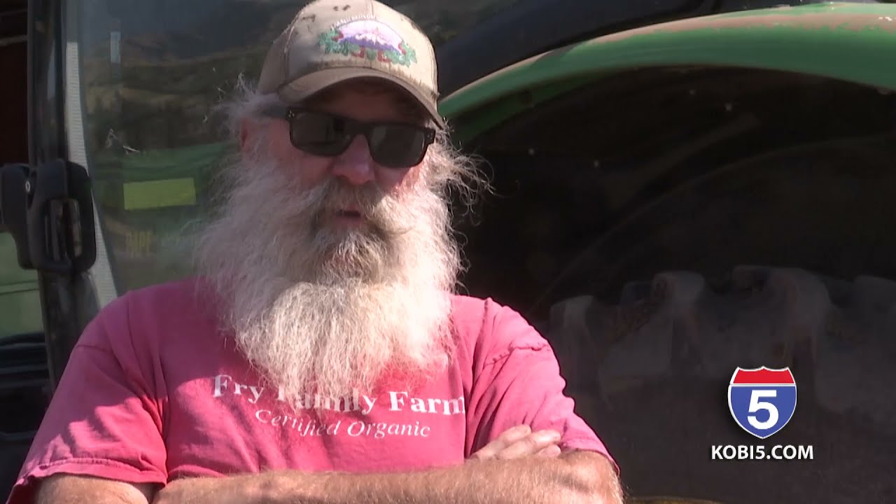 Medford farmer outraged over Jackson Co. illegal marijuana grows