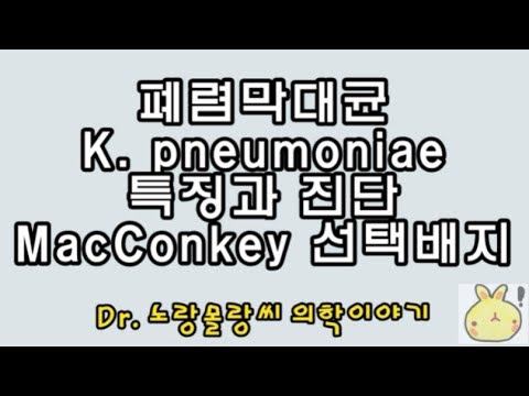 MacConkey agar plate(맥콘키 선택배지)와 폐렴막대균(klebsiella pneumoniae) 특징과 진단원리