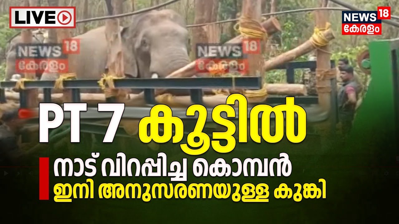 ⁣LIVE | Wild Elephant Captured | Palakkad Dhoni | PT7 | Dr Arun Zachariah | Malayalam News Live Today