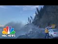 Watch: Landslide Topples Dozens Of Evergreen Trees Into Alaskan Bay