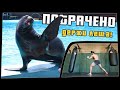 ПОТРАЧЕНО. Держи леща! Лучшие приколы 2020, смешные видео и фейлы