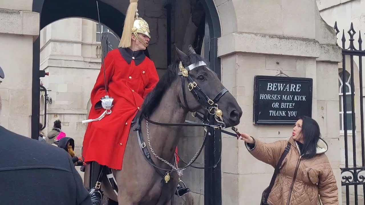 Tourist does not move. but that does not stop the guard #horseguardsparade