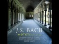 J S Bach Motets BWV 225   230