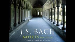 J S Bach Motets BWV 225   230