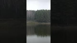 Первый снег 12 октября. Топки. Лесная база(Лесная бухта) #рыбалка