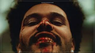 Vietsub - Lyrics || Save Your Tears - The Weeknd (Solo Version)