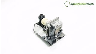 Np29Lp Projector Lamp With Module