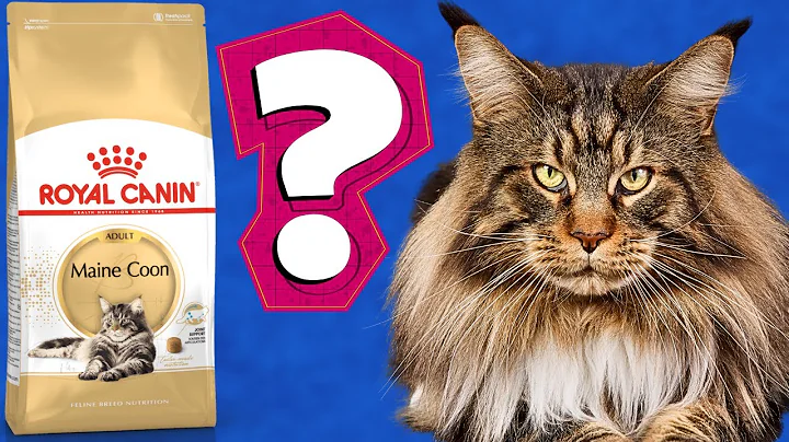 Watch the video about ROYAL CANIN Maine Coon Cat Food Review 2024. Best Maine Coon Cat Food?