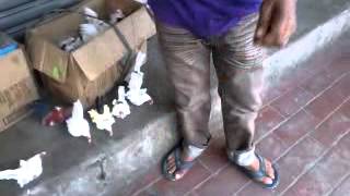 Toy Roosters at Marulas Public Market, Valenzuela City