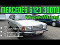 Mercedes S123 300TD die etwas schnellere Wanderdüne | Mercedes W123 Diesel | Vorstellung T-Modell