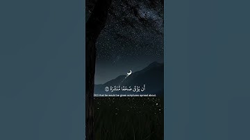 اكتب شي تؤجر عليه🤍#قرآن #القرآن_الكريم #آيات_مؤثرة #اكسبلور  #اكتب_شي_تؤجر_عليه #quran #quran_kareem