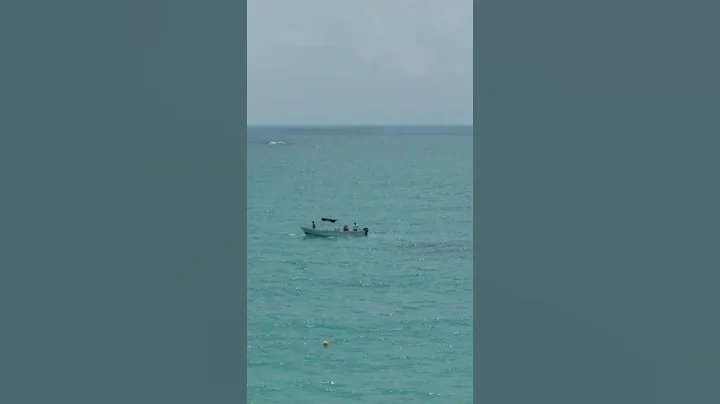 Tulum. Ruina Maya #maya #ruínas #mexico #tulum #quintanaroo #shorts #playas #mistico #bathathor