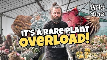 Exploring the Cactus Anonymous greenhouses: every plant a masterpiece