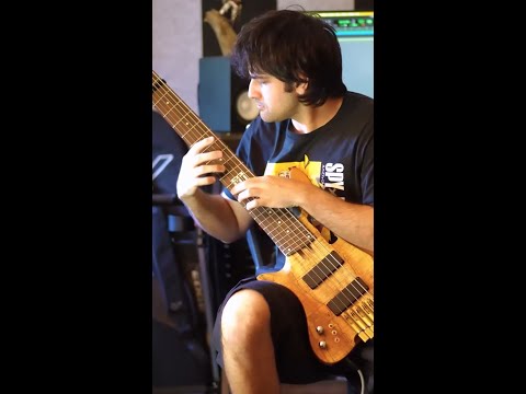  Bass tapping 📹 Felix Martin