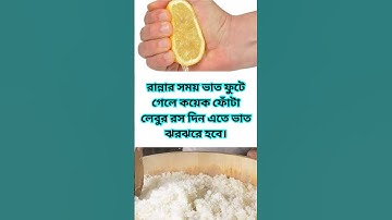 general knowledge || quiz | spinal cord part  43