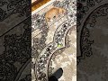 Играем в футбол с кошкой #футбол