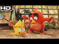 The Angry Birds Movie (2016) | Yoga scene | MOVIECLIPS HD