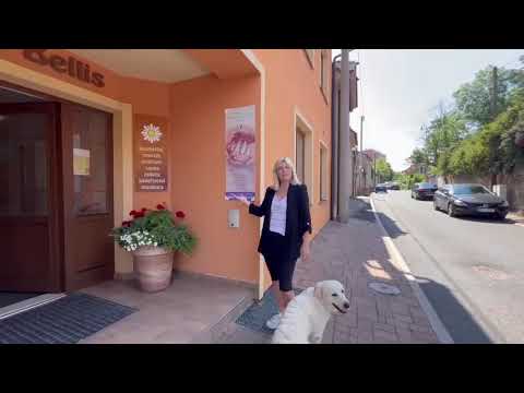 Letní novinky z Institutu 