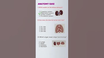 Anatomy Quiz - Can you get 3/3? #anatomy #greysanatomy #quiz #quiztime #trivia #shorts