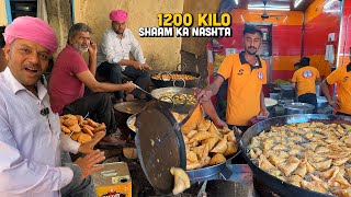 24/- Rs India ka BEST Street Food Nashta 😍 INTENSE Samosa, Jodhpur Shahi Mirchi Vada, Mawa Kachori