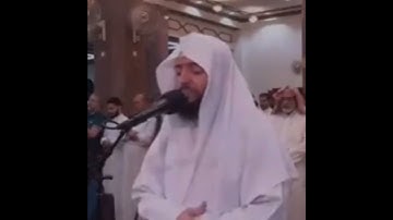 تلاوة أسرة من سورة الأنبياء للشيخ وديع اليمني 🩵🌿