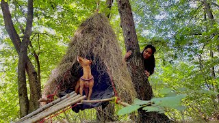 BUILDING A BIG BIRD NEST HOUSE ON THE TREE FOR MY DOG - BUSHCRAFT SHELTER