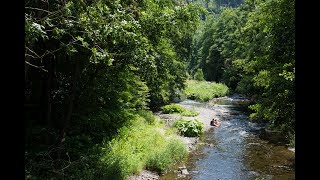 Sommerfrische im Schwarzatal - Ein Lebensgefühl im Wandel der Zeit