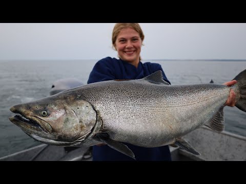 Vídeo: Rotllets De Perxa De Salmó I Lluc