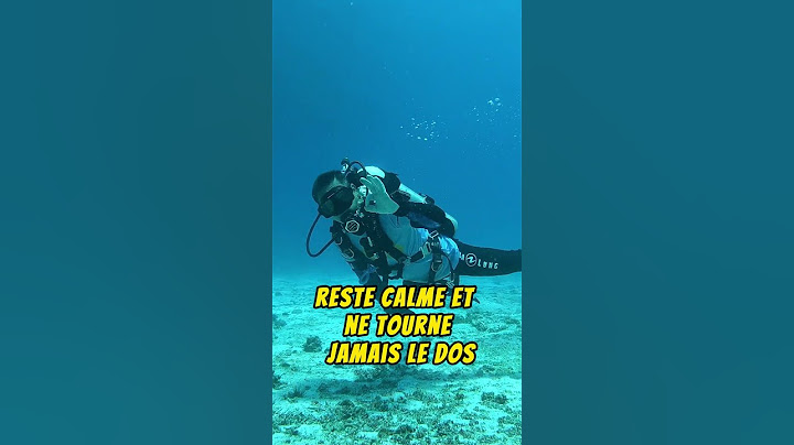 Face à un requin ? Ne fais surtout PAS ça !