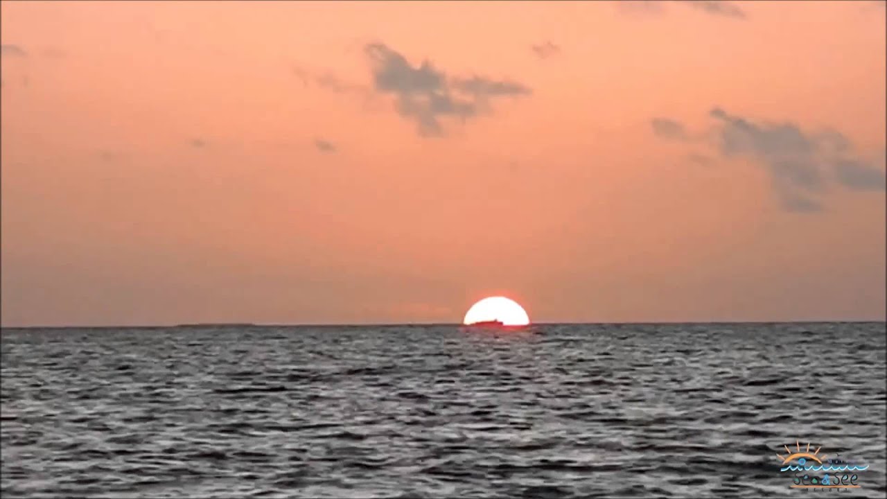 100M // 125M // 320M // 335M