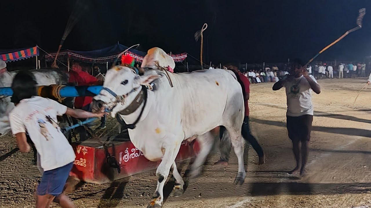 యాడికి గ్రామం సీనియర్స్ విభాగానికి 8వ జత తోట తిరుపాల్ రెడ్డి గారు  ఆది కేశవరెడ్డి చెన్నకేశవరెడ్డి 