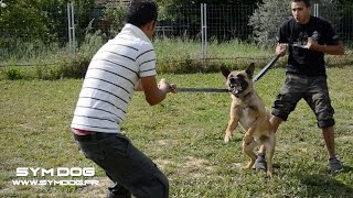 ⚠ REEDUCATION D'UN CHIEN TRÈS VIOLENT