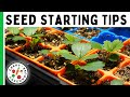 9 seed starting tips we wish we knew as beginners  geeky greenhouse