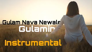 Rıdvan Yıldırım - Gulam Nava Newale Gulamın | INSTRUMENTAL MIX Resimi