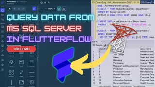 Connect and query data from Microsoft SQL Server to FlutterFlow