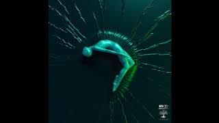 Solma - The Key To Killing Your Ego