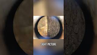 Basic Rifle Scope Review on Hatsan SpeedFire Magnum 1250. Perfect for Casual Shooting!
