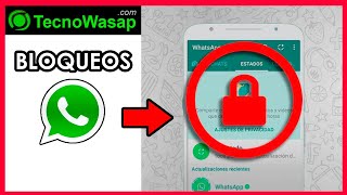 Ver estado de WhatsApp de un contacto que me bloqueó ‍