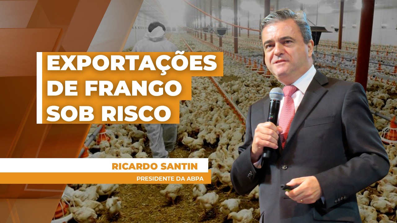 Tensão no Oriente Médio preocupa cadeia produtiva de aves