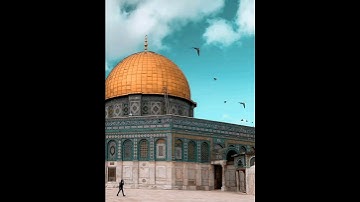 سورة النصر بصوت الشيخ ماهر المعيقلي 🩵🩵