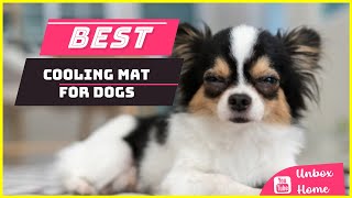 Top 5 Best Cooling Mat For Dogs in 2023